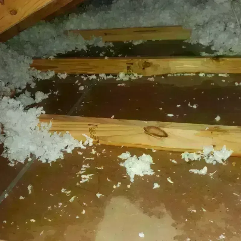 Attic Water Damage in Veneta, OR