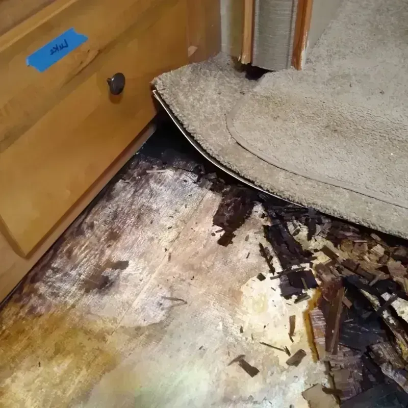 Wood Floor Water Damage in Veneta, OR